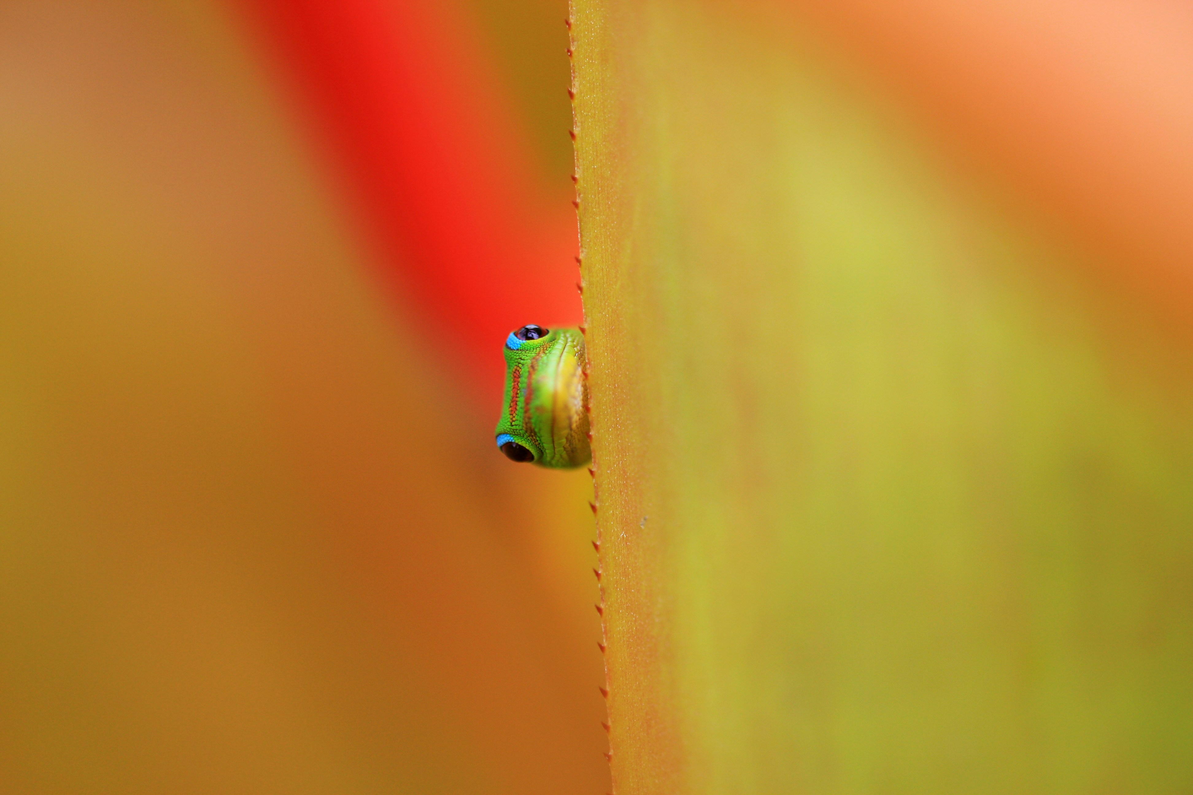 Photo by Rafael Peier (rIJvU5vDTzI)
